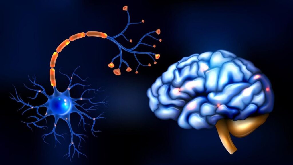 Motor Neurone Disease Svenska