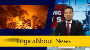 LogicalShout News