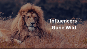 Influencers Gone Wild
